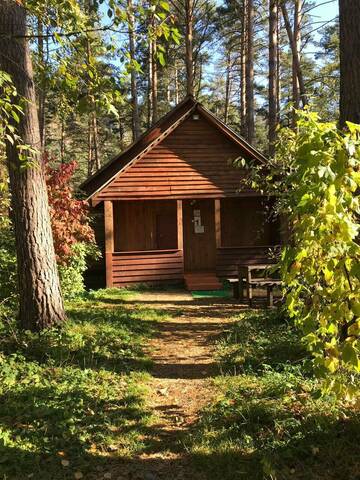 Одноместный номер с террасой в Гостевом доме База Отдыха Любава